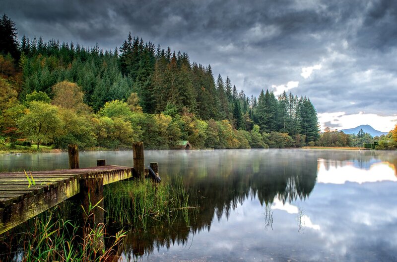 Wooden Dock on Lake — Green, Dramatic, Morning, Photograph, Forest