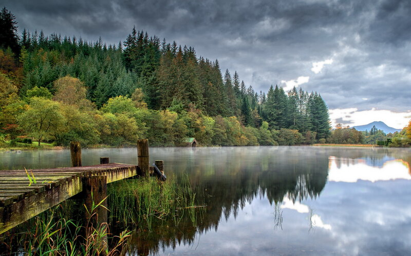 Wooden Dock on Lake — Green, Dramatic, Morning