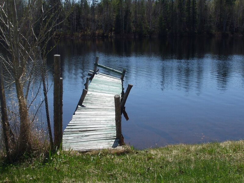 Wooden Dock on Lake — Green, Serene, Spring