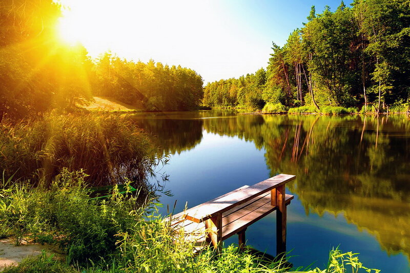 Wooden Dock on Lake — Green, Serene, Sunset, Photograph, Trees, Sunlight