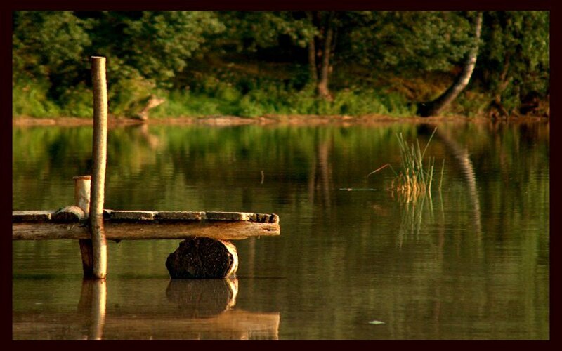 Wooden Dock on Lake — Green, Serene, Sunset, Photograph, Trees