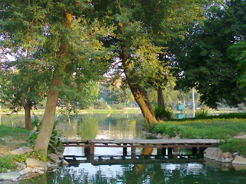 Wooden Dock on Lake — Green, Serene
