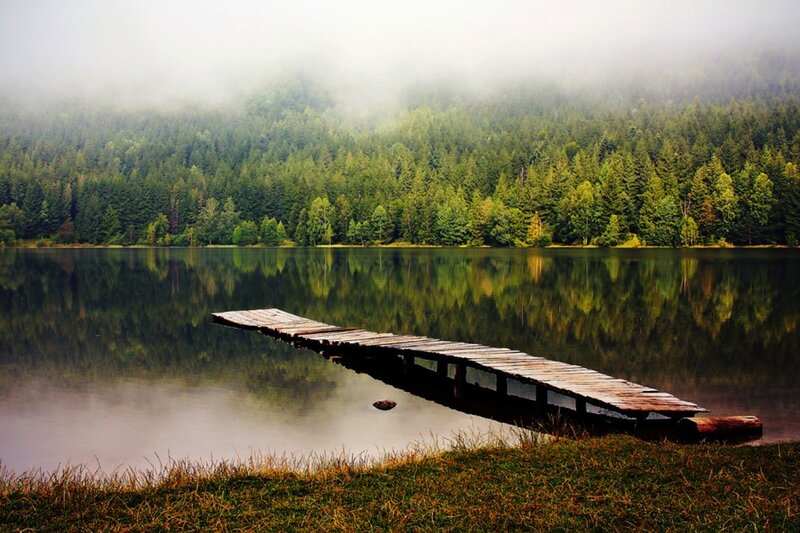 Wooden Dock on Lake — Green