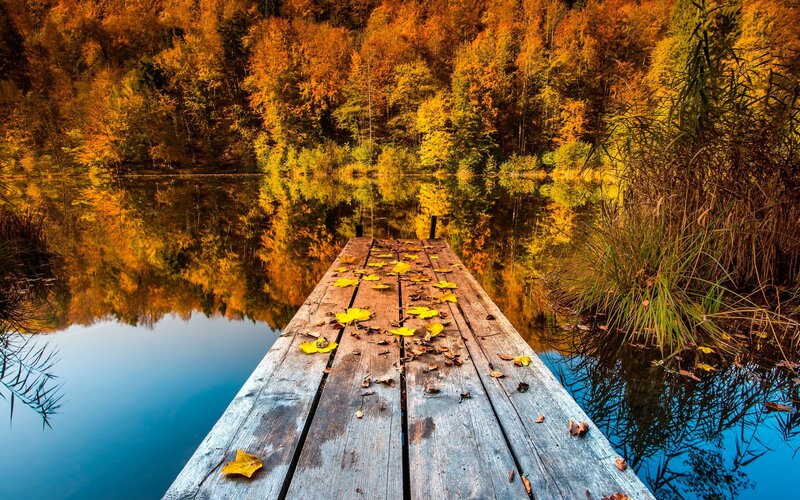 Wooden Dock on Lake — Orange, Serene, Autumn, Photograph