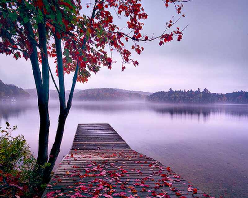 Wooden Dock on Lake — Purple, Serene, Autumn