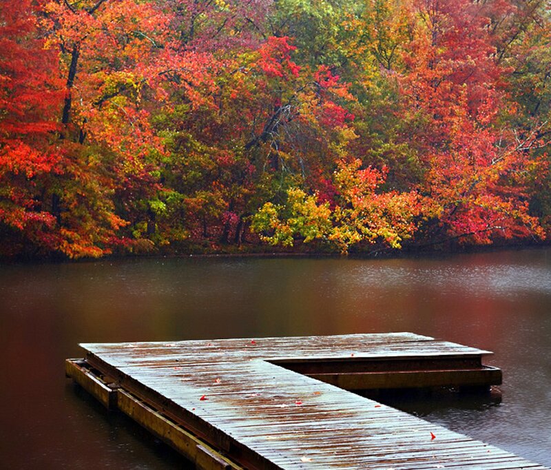 Wooden Dock on Lake — Red