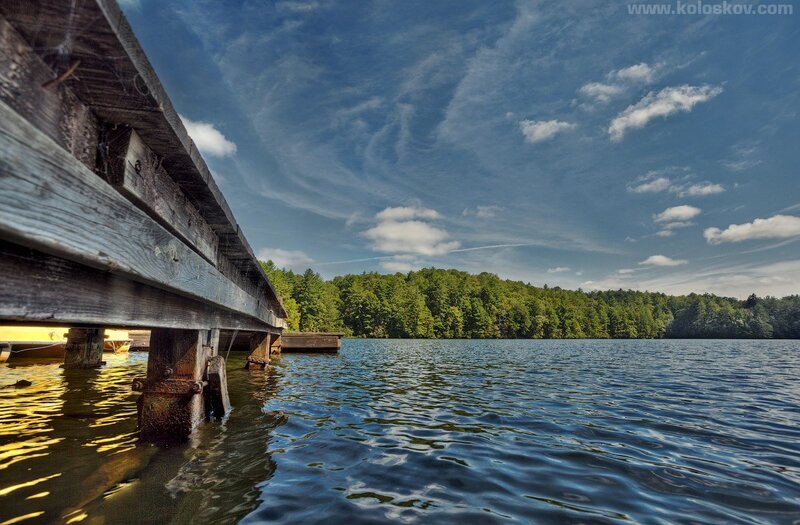 Wooden Dock on Lake — Trees