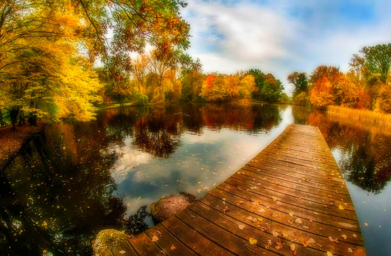 Wooden Dock on Lake — Yellow, Serene, Autumn, Photograph