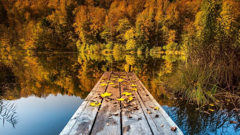 Wooden Dock on Lake — Yellow, Serene