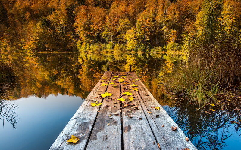 Wooden Dock on Lake — Yellow