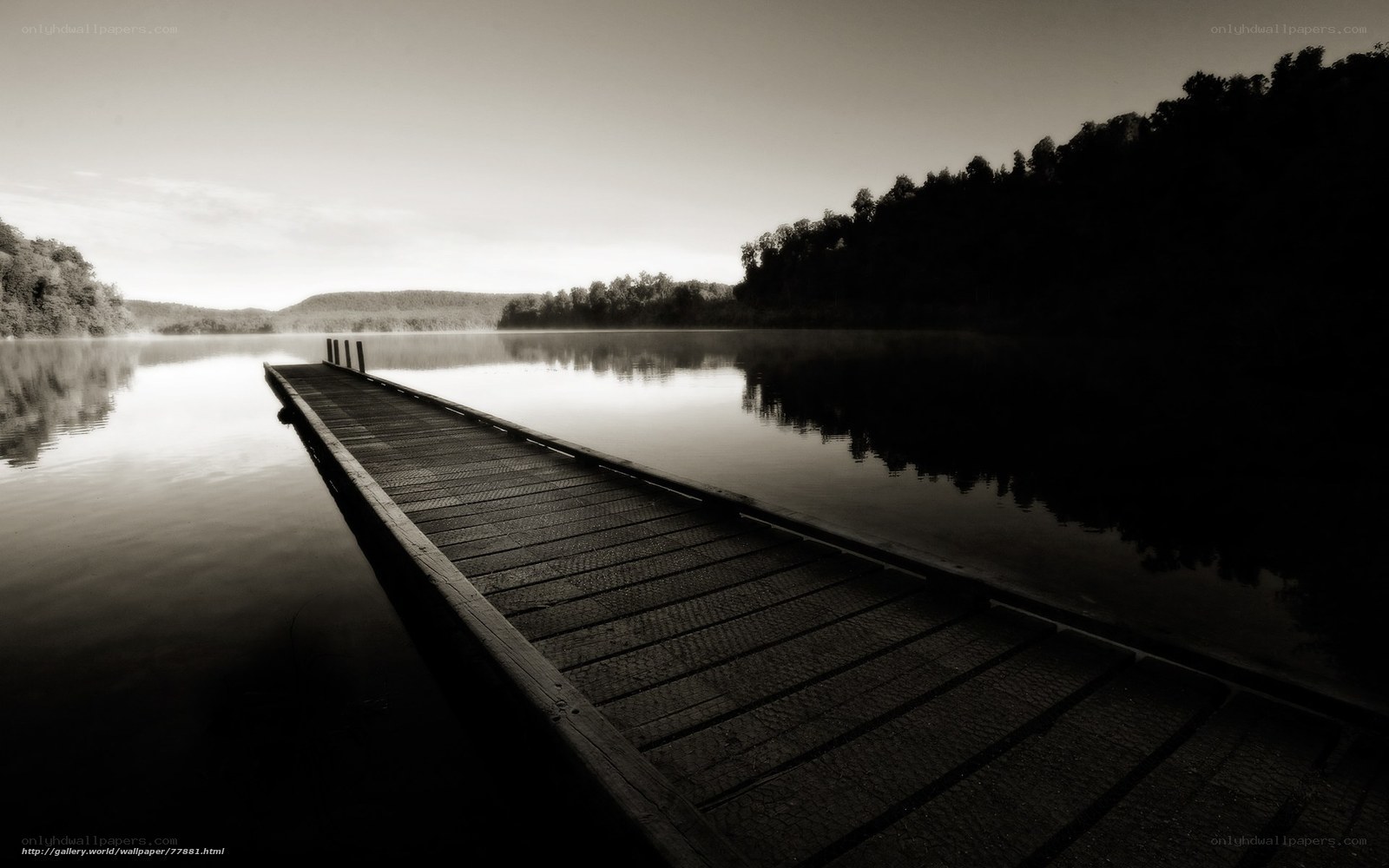 Wooden dock on misty lake