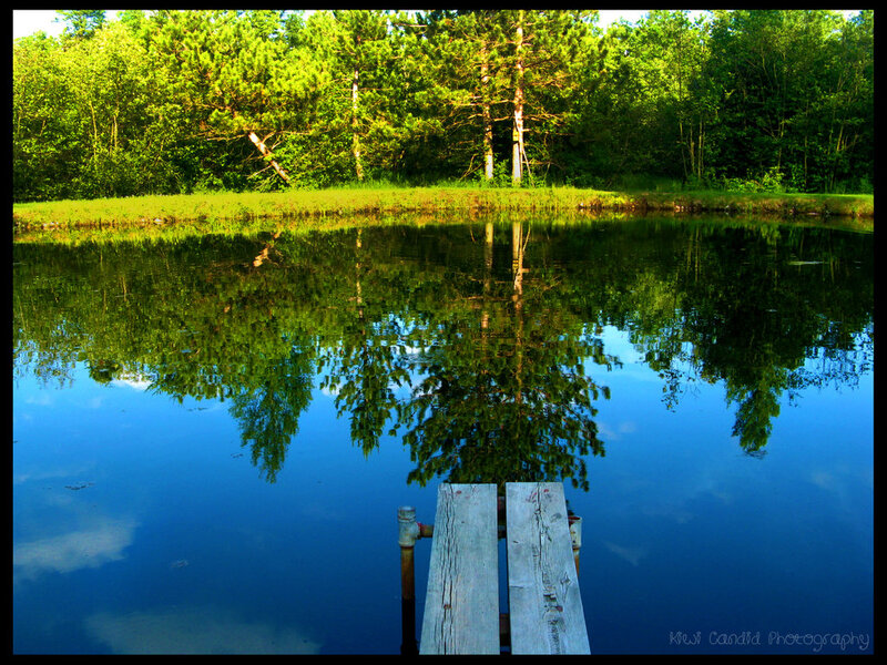 Wooden Dock on Pond — Blue