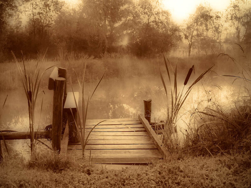 Wooden Dock on Pond — Brown