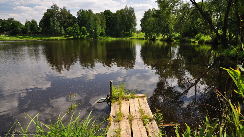 Wooden Dock on Pond — Green, Serene, Afternoon, Photograph