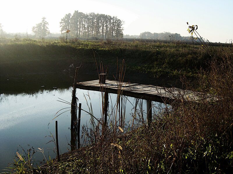 Wooden Dock on Pond