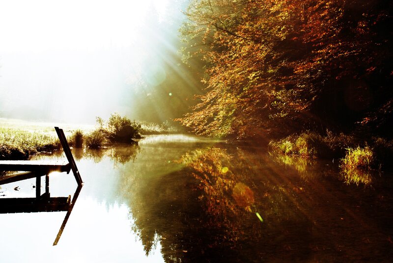 Wooden Dock on River — Brown, Serene