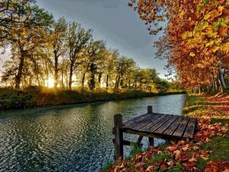 Wooden Dock on River — Green