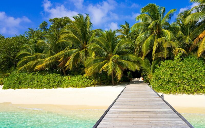 Wooden Dock on Tropical Beach