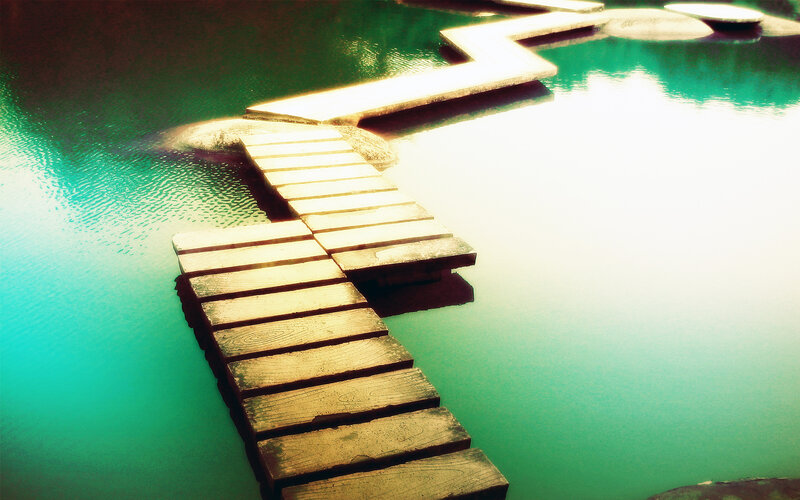 Wooden dock over green water