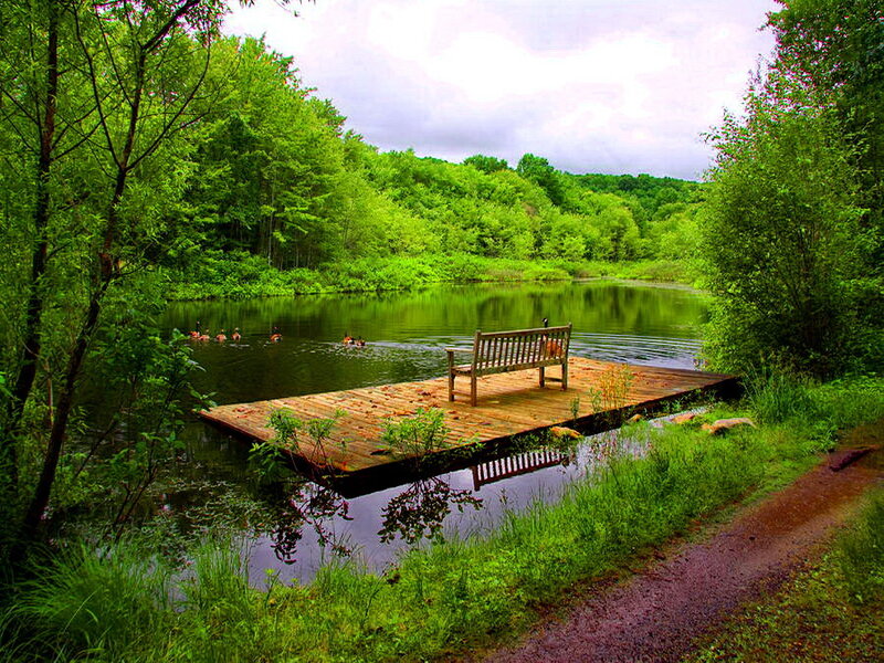 Wooden Dock with Bench