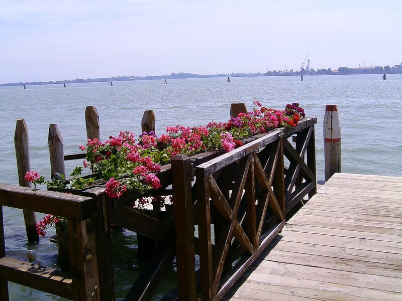 Wooden Dock with Flowers