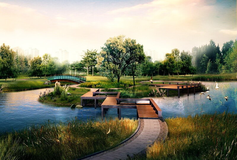 Wooden Docks in Park
