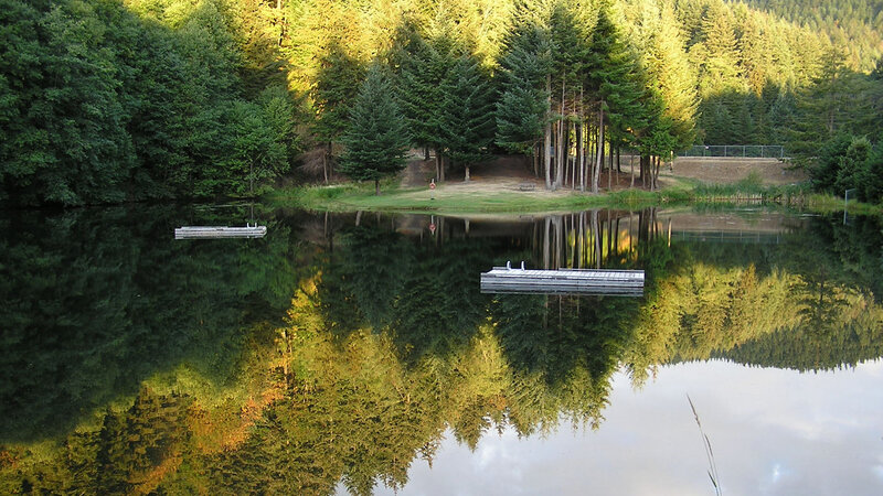 Wooden Docks on Lake — Green
