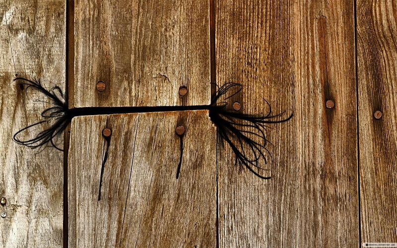 wooden door with cracks and feathers