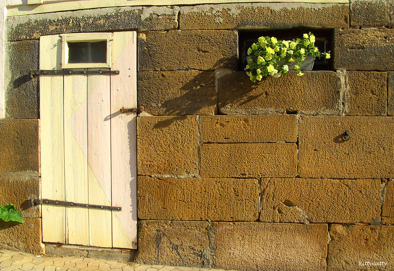 Wooden Door with Flowers