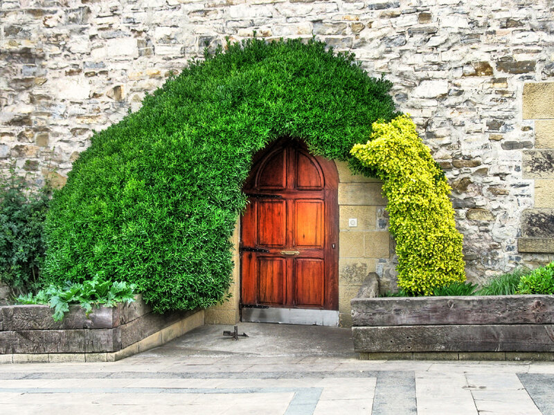 Wooden Door with Green Arch