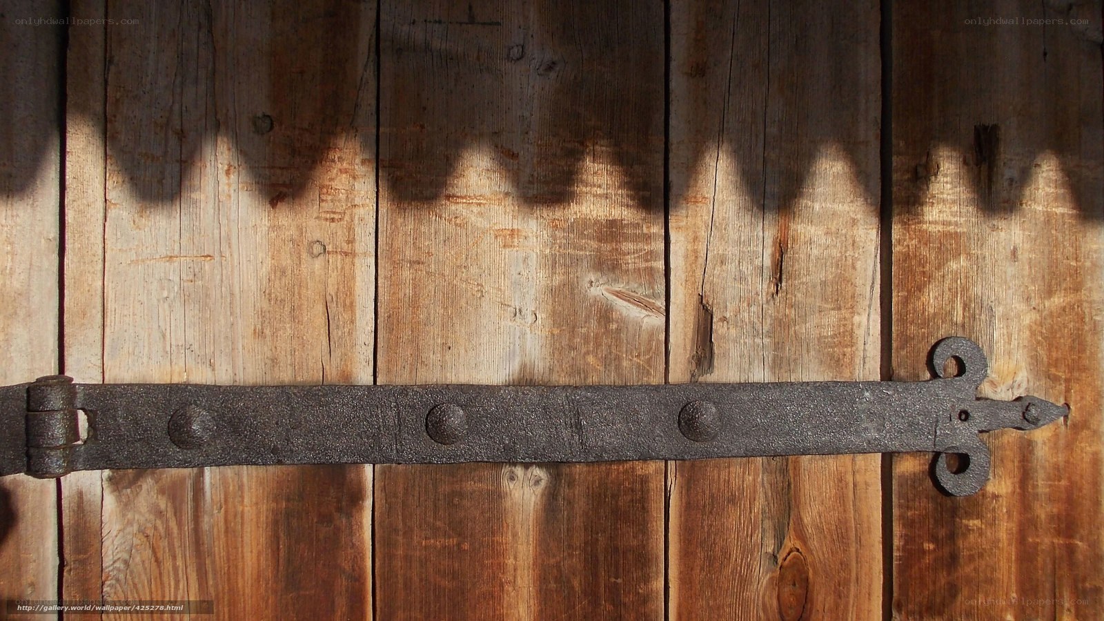 Wooden door with iron hinge