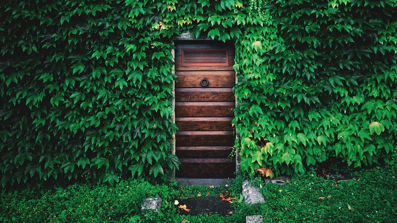 Wooden Door with Ivy — Green