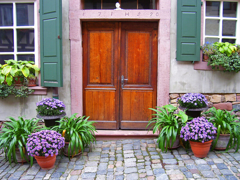 Wooden Door with Plants — Brown