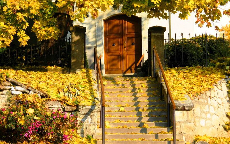 Wooden Door with Steps