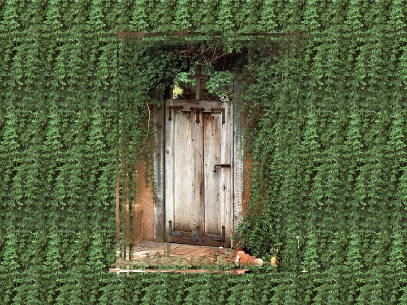 Wooden Door with Vines