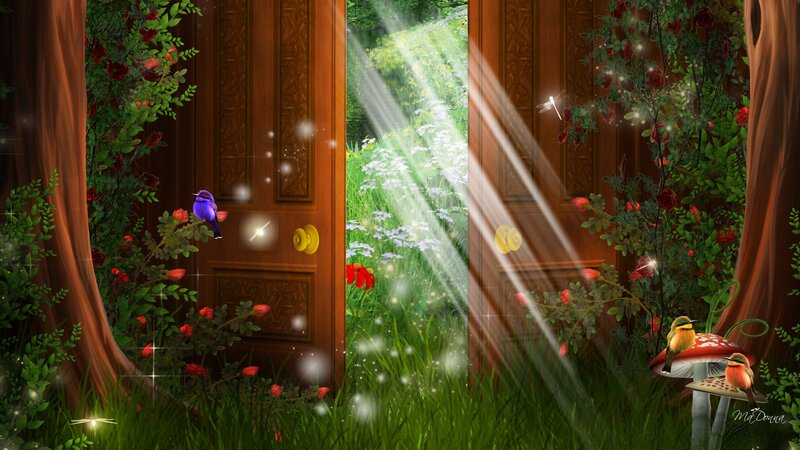 Wooden Doors in Garden