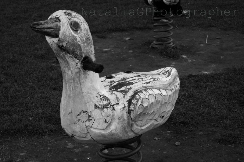Wooden Duck Playground Toy