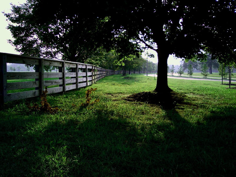 Wooden fence along a grassy path