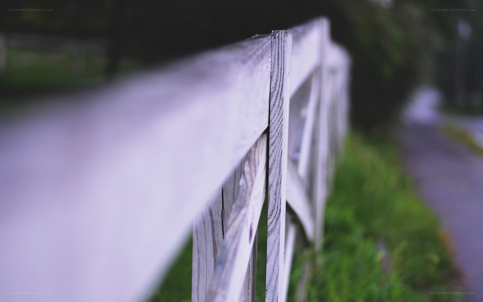 Wooden fence along a path