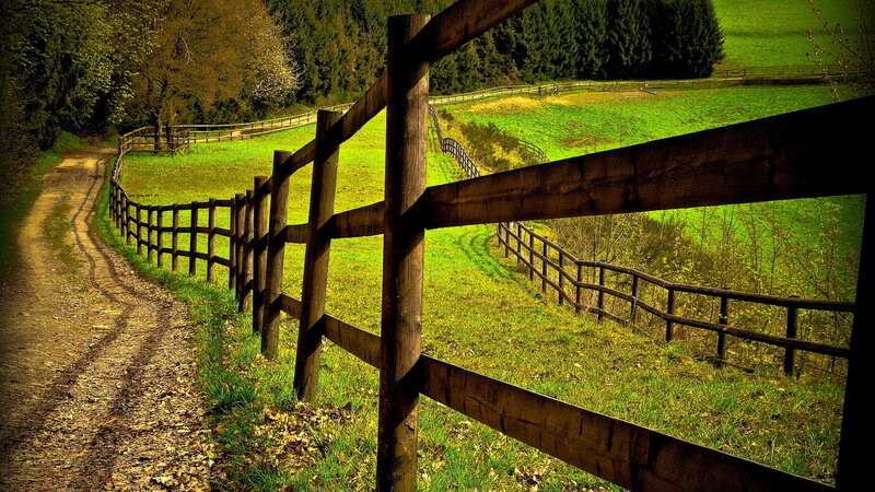Wooden Fence Along Dirt Path