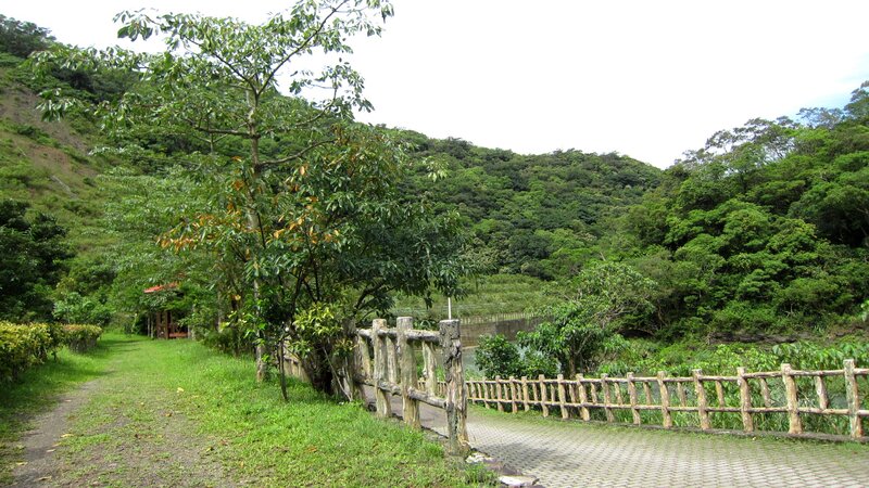 Wooden Fence Along Path