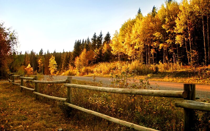 Wooden Fence and Autumn Trees