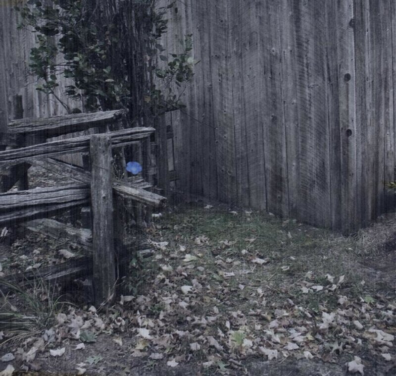 Wooden Fence and Gate