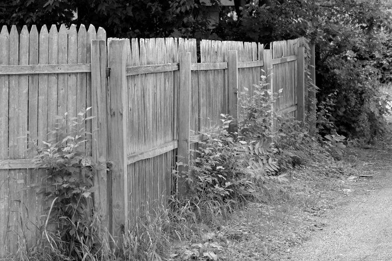 Wooden Fence and Overgrown Plants