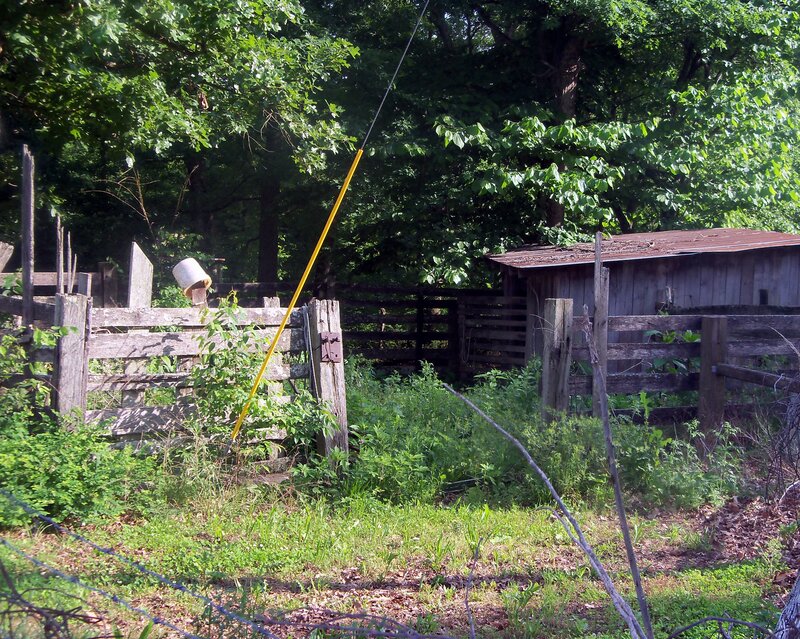 Wooden Fence and Shed