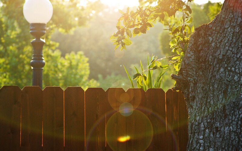 Wooden Fence and Tree — Brown