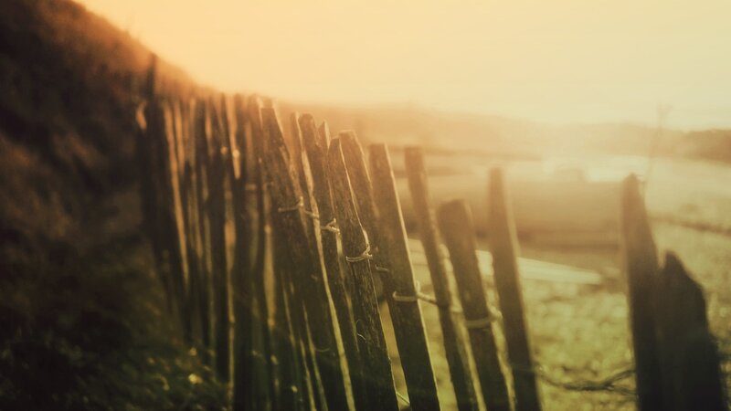Wooden fence at golden hour