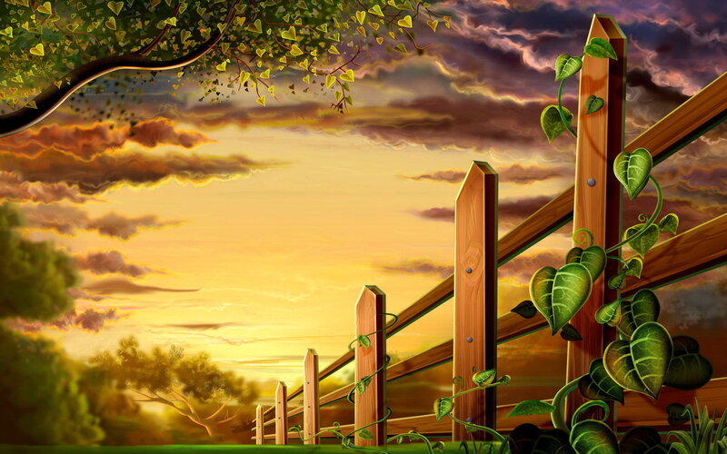 Wooden fence at sunset