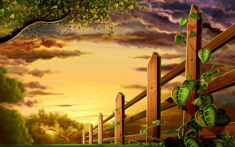Wooden fence at sunset
