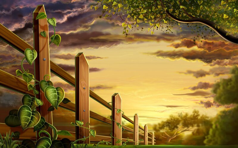 Wooden fence at sunset